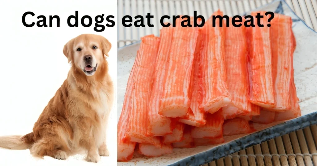 Can dogs eat crab meat?