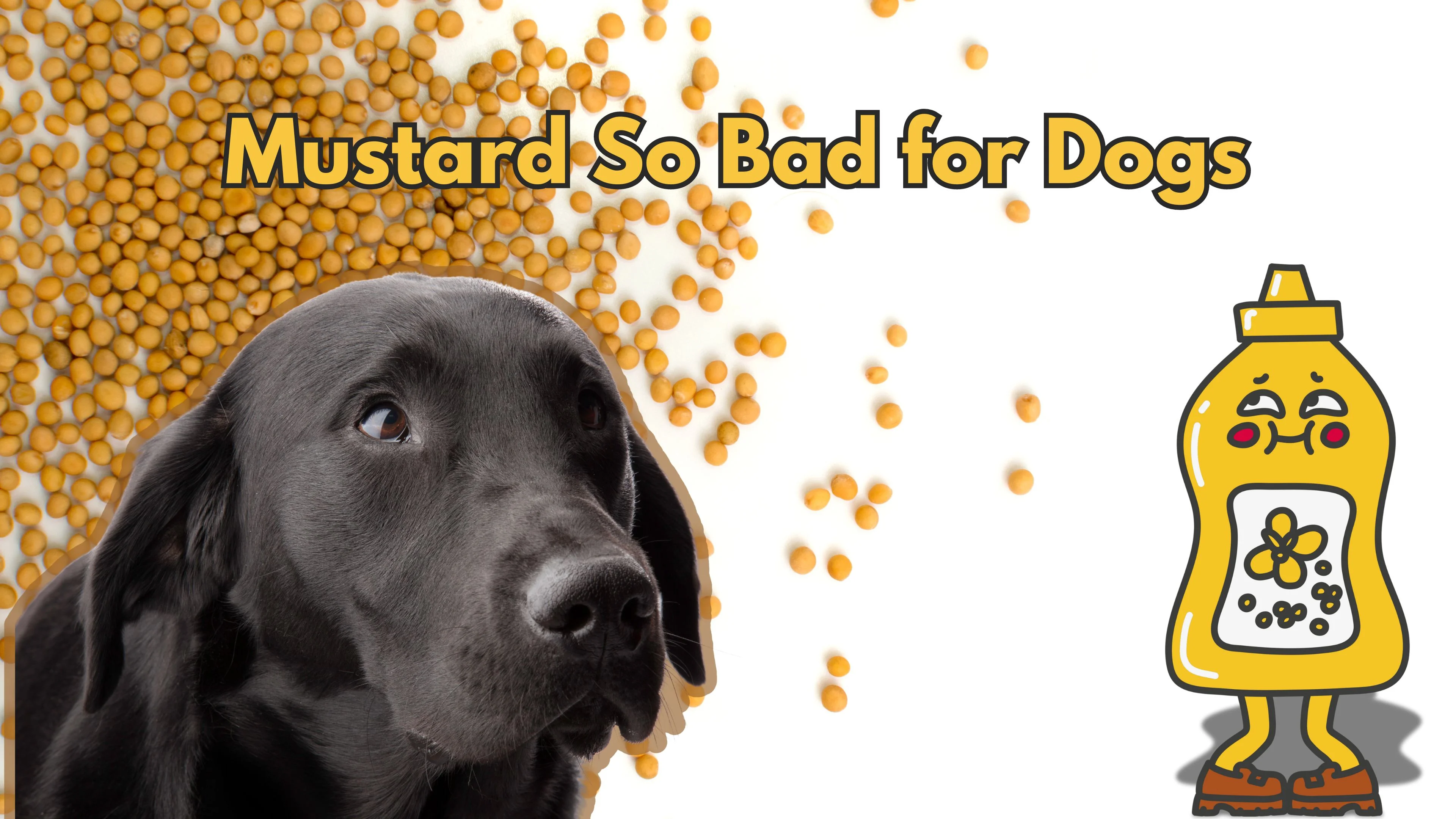 Can Dogs Eat Mustard?