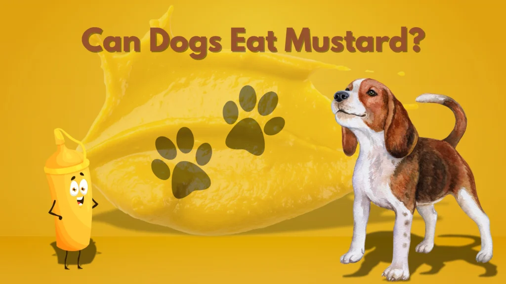 Can Dogs Eat Mustard