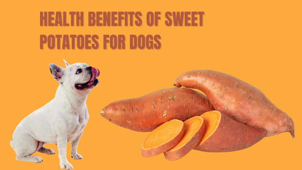 CAN DOG EAT SWEET POTATOES?