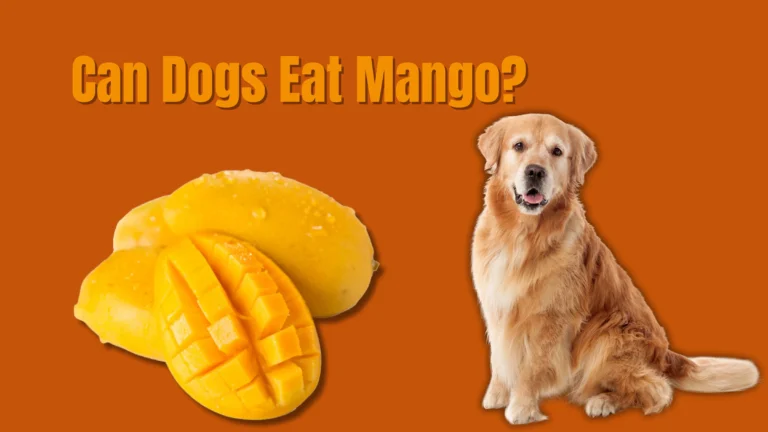 Can Dogs Eat Mango?