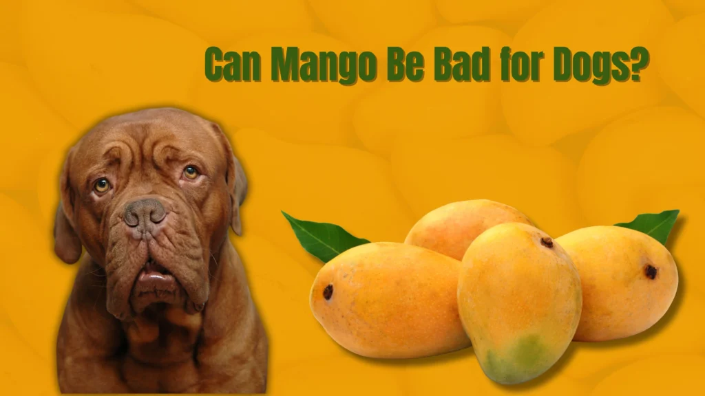 Can Dogs Eat Mango?