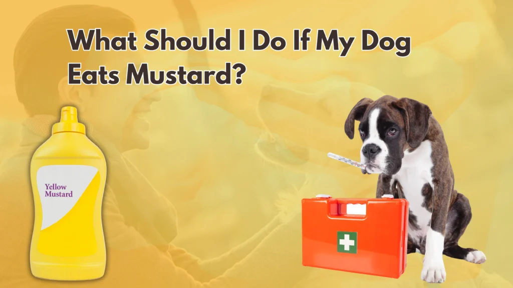 Can Dogs Eat Mustard?