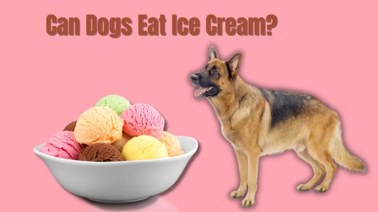 Can Dogs Eat Ice Cream?