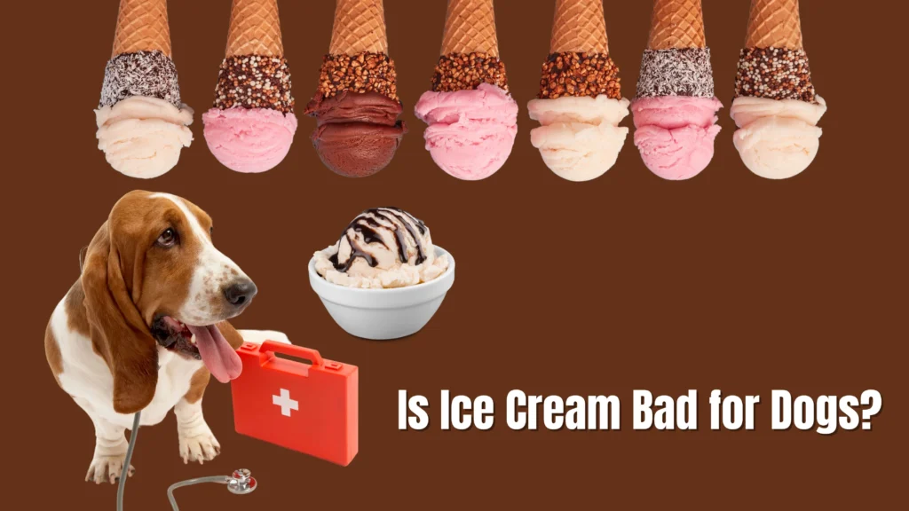 Can Dogs Eat Ice Cream?