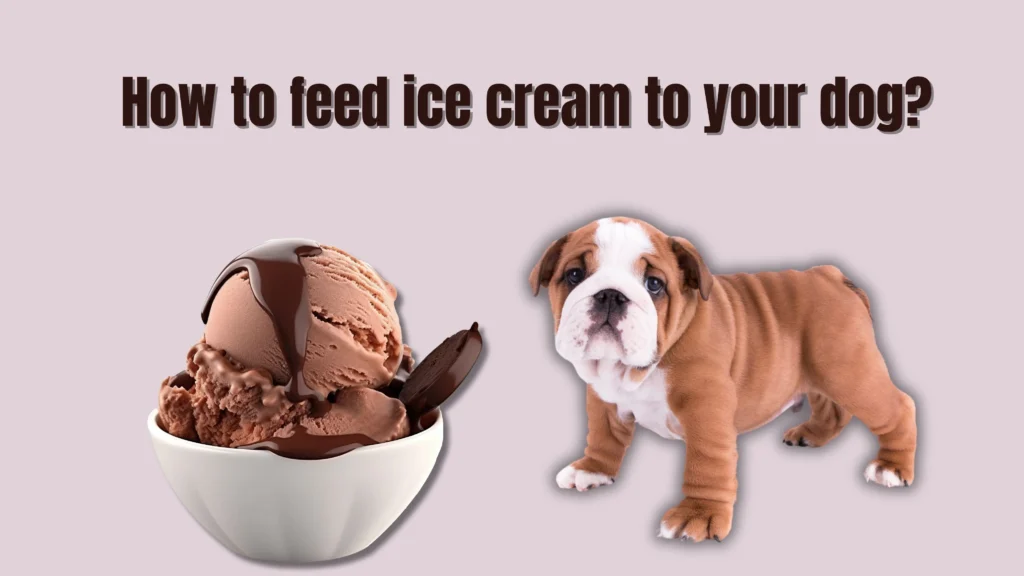 Can Dogs Eat Ice Cream?