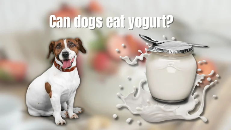 Can Dogs Eat Yogurt?