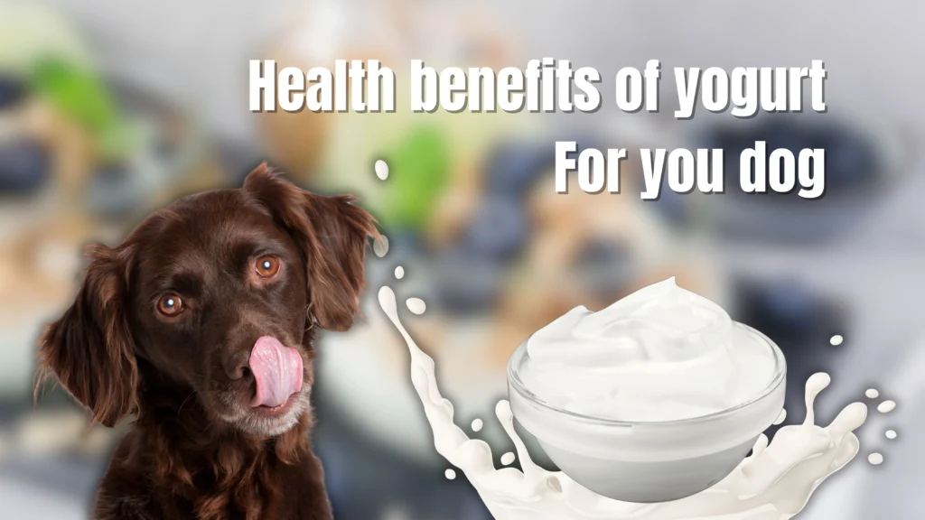 Can dogs eat yogurt?