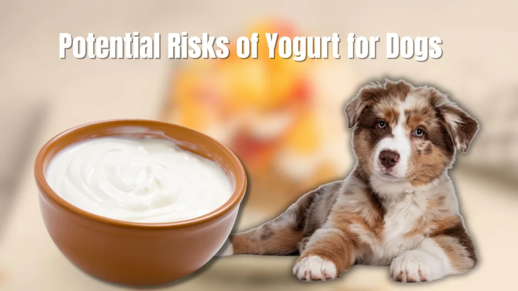 Can dogs eat yogurt?