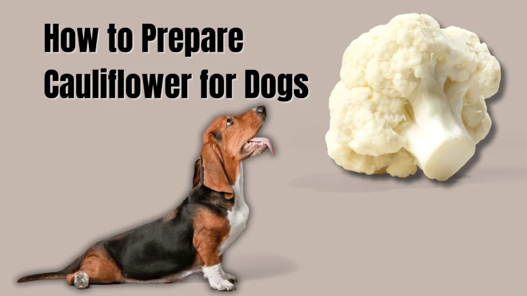 Can Dogs Eat Cauliflower?