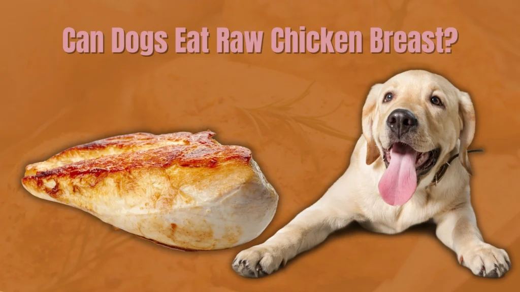 Can dogs eat raw chicken?