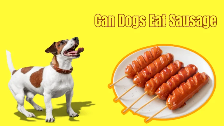 Can Dogs Eat Sausage?