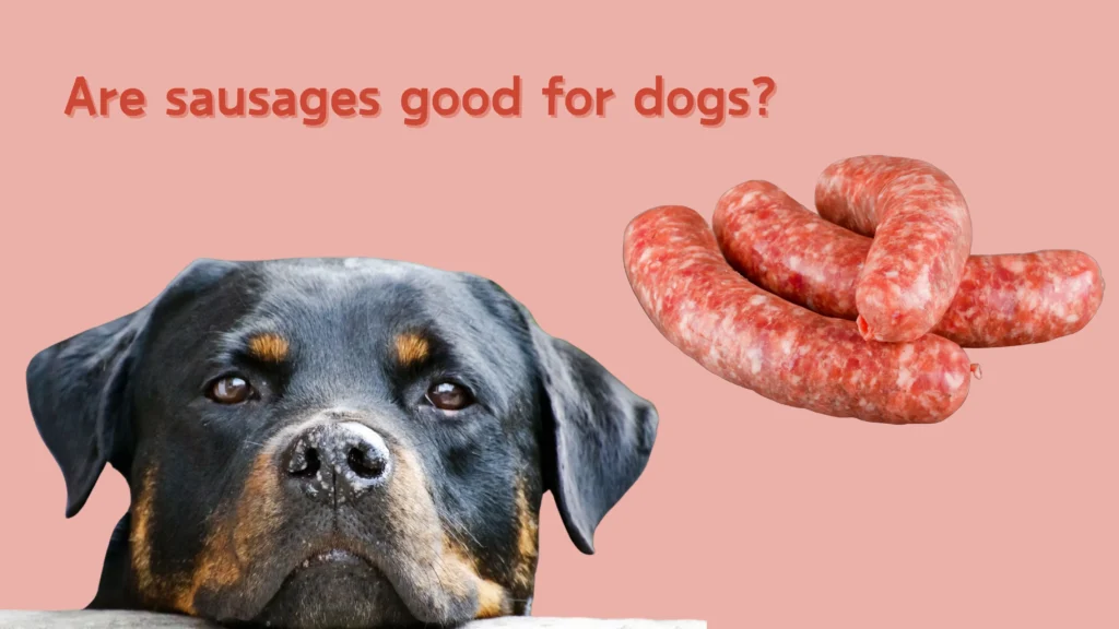 Can Dogs Eat Sausage