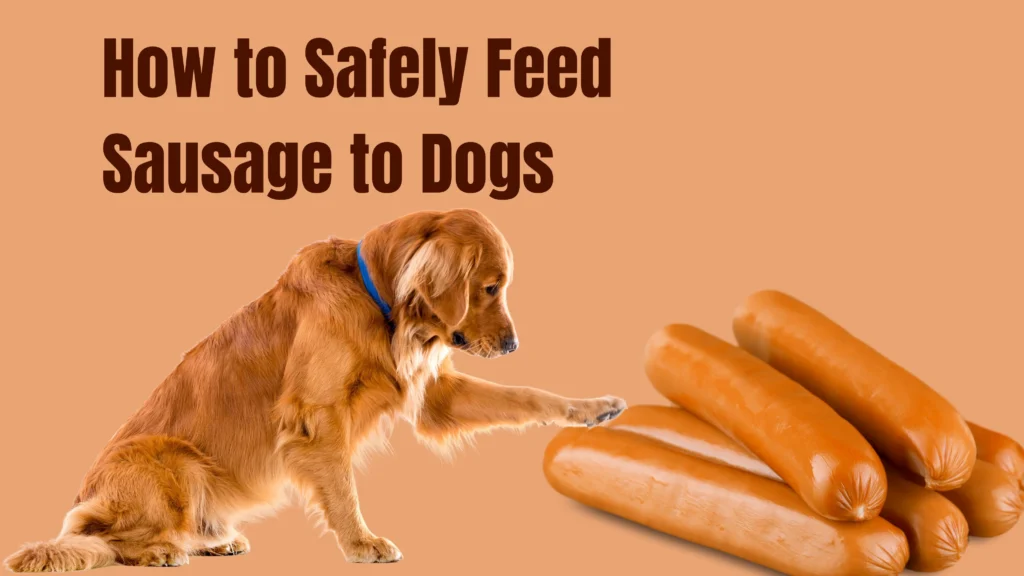 Can Dogs Eat Sausage