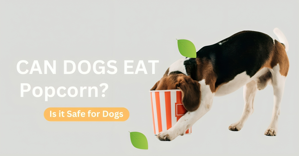 Can-Dogs-Eat-Popcorn