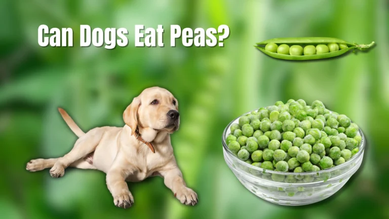 Can Dogs Eat Peas?