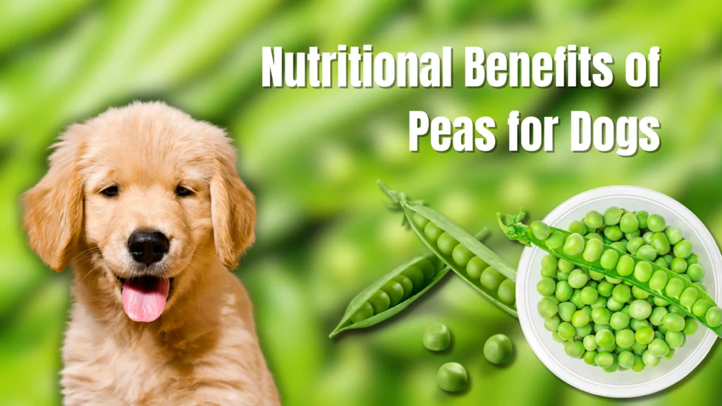 Can Dogs Eat Peas?