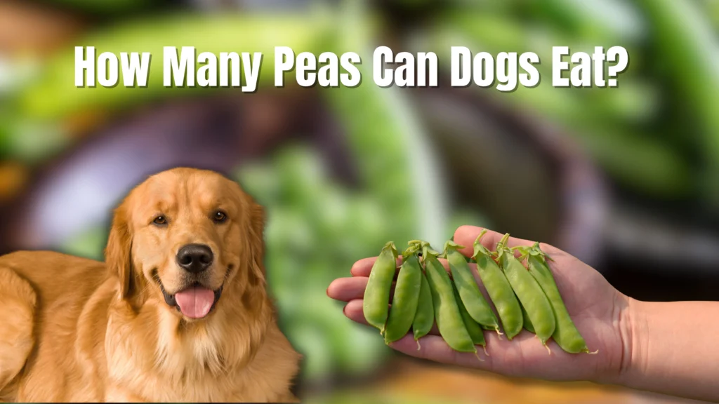 Can Dogs Eat Peas?