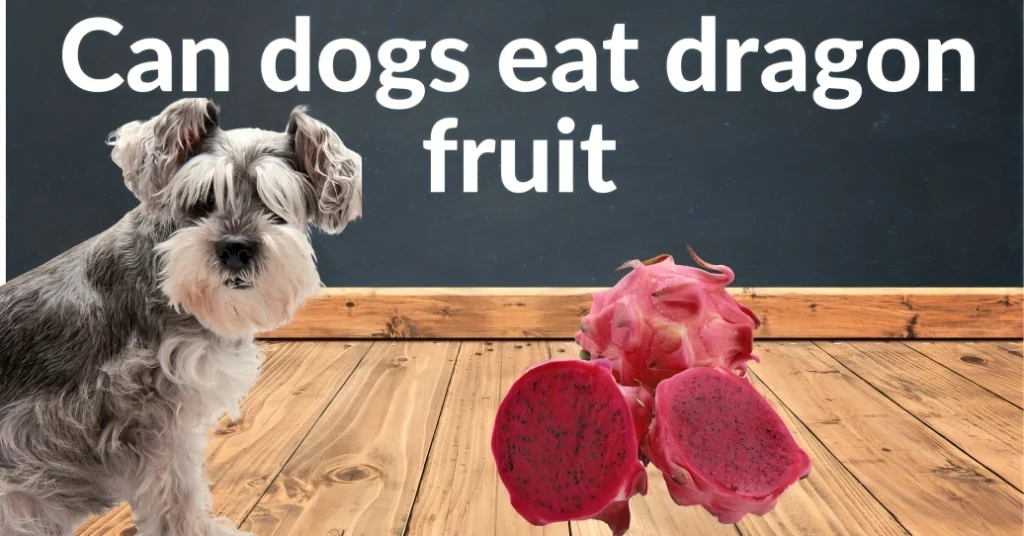 Can dogs eat dragon fruit