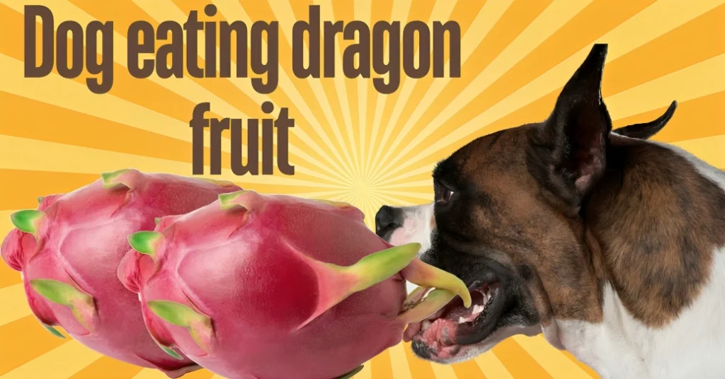 Can dogs eat dragon fruit?