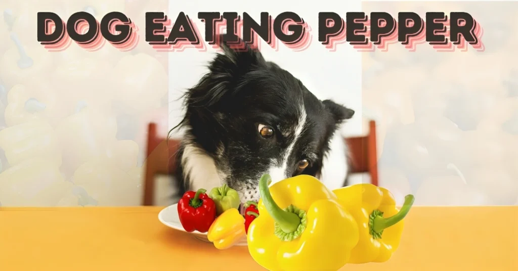 Can Dogs Eat Bell Peppers?