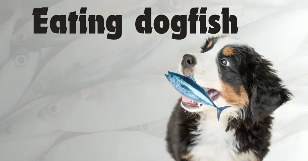 Can Dogs Eat Fish?