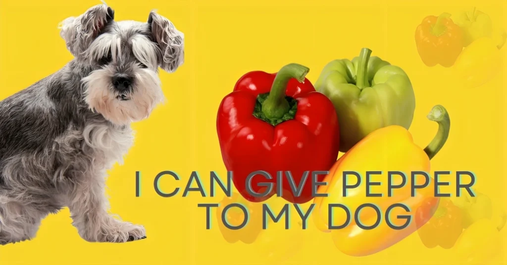 Can Dogs Eat Bell Peppers?