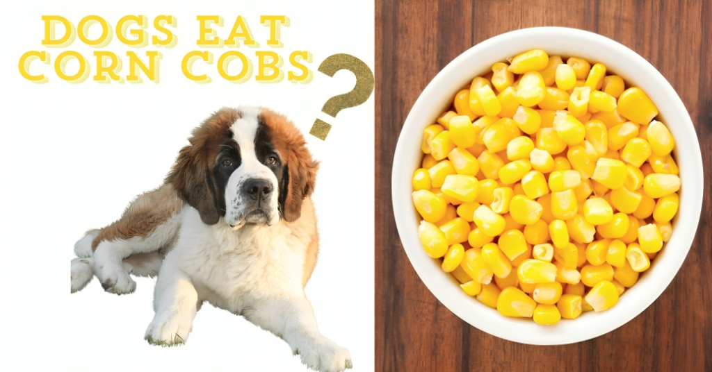 Is it Safe for Dogs to Eat Corn?