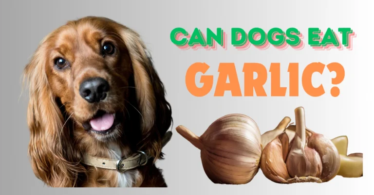 can dogs eat garlic (1)