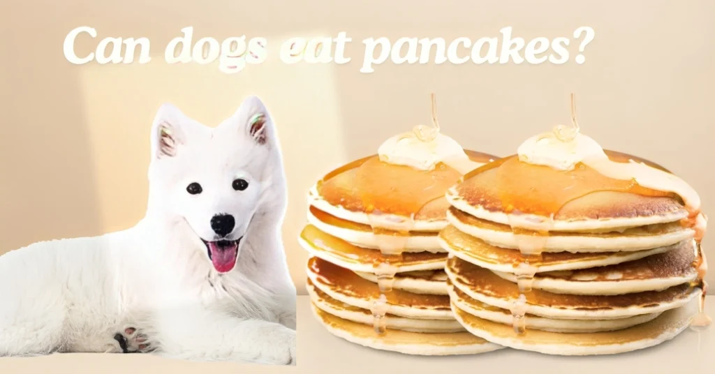 can dogs eat pancakes 1