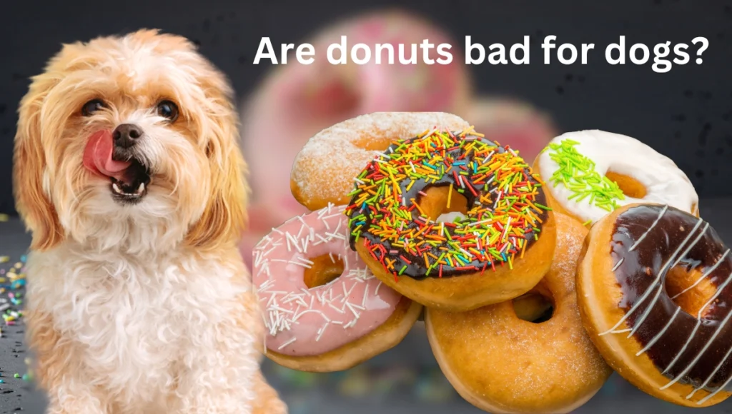 Can Dogs Eat Donuts 