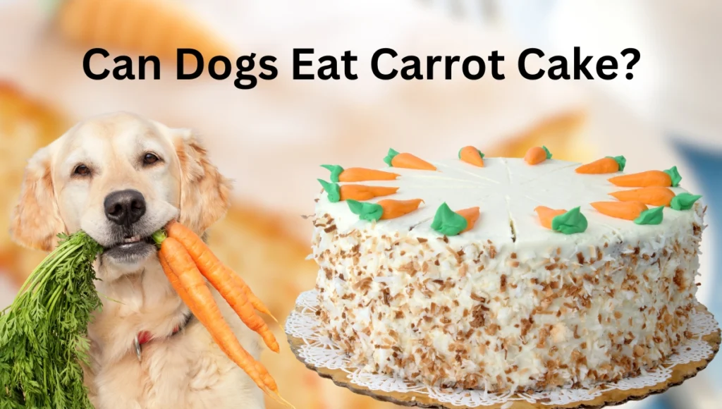 Can Dogs Eat Carrot Cake