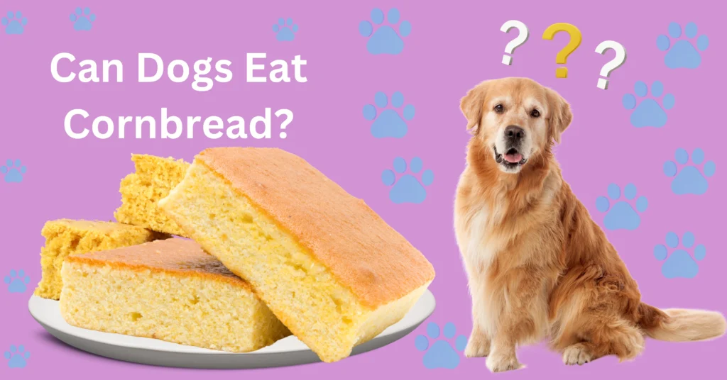 Can Dogs Eat Cornbread