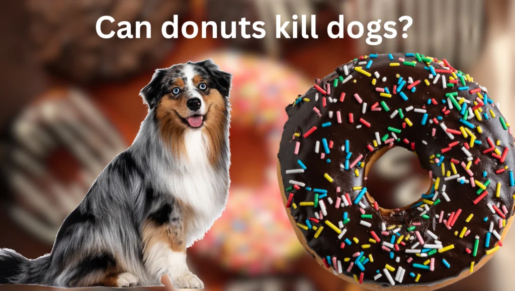 Can Dogs Eat Donuts 