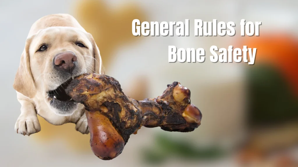 Can dogs eat bones?