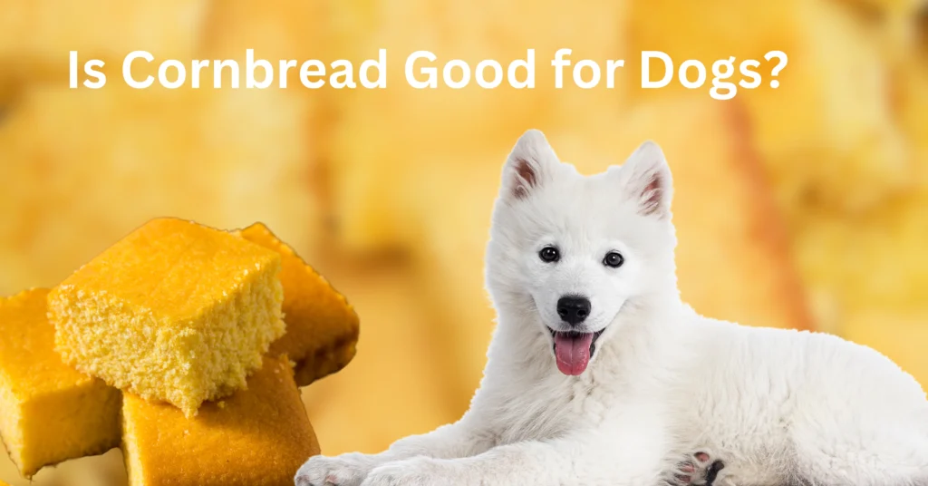 Can Dogs Eat Cornbread?