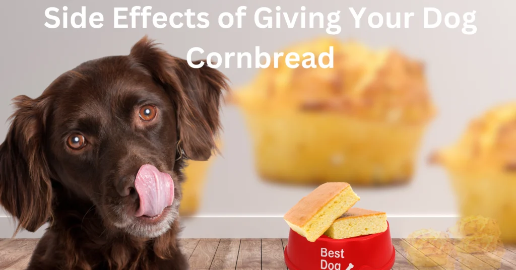 Can Dogs Eat Cornbread?