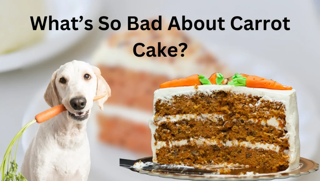 Can Dogs Eat Carrot Cake?