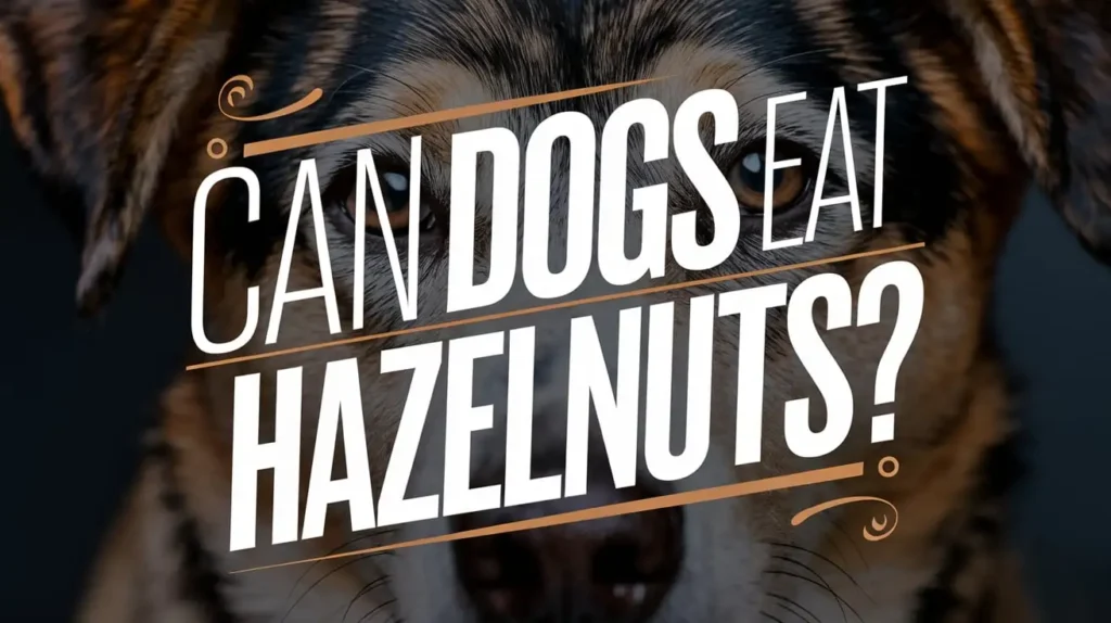 can dogs eat hazelnut